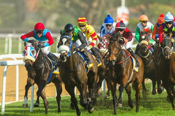 Horse-racing Horse-racing