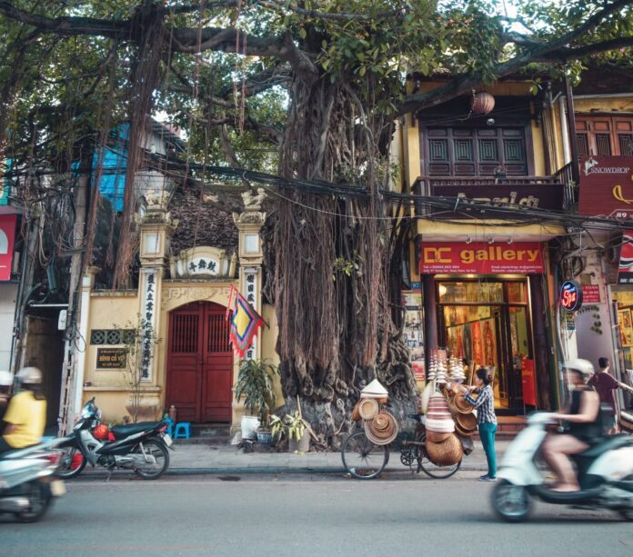raissa-lara-lutolf-fasel-mwKVrPXrq1I-unsplash vietnam